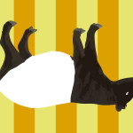 animale teatrale super fico